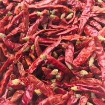 印度辣/特辣干辣椒/批发兼零售，量大可商议，全国包邮