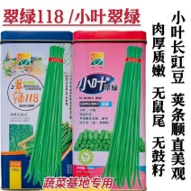 翠绿118长豆角种子厚肉型长豇豆种子荚长油亮翠绿耐老化