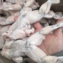 小牛蛙免处理牛蛙肉