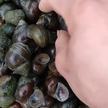 螺丝