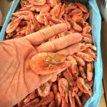 黑头大规格北极虾
