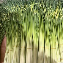 长度：60至70公分粗度：一支烟粗