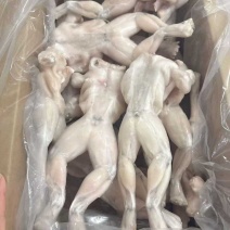 牛蛙