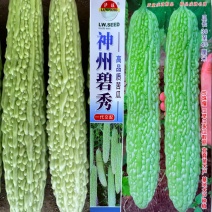 苦瓜种子高产早熟翠绿疙瘩绿苦瓜种子中华白玉苦瓜种子大田用
