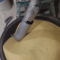 大黄米