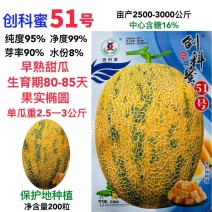 创科蜜51号早熟杂交一代哈蜜甜瓜果实椭圆型含糖可达