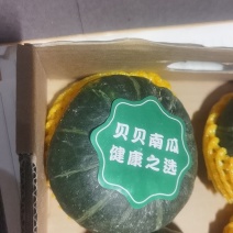 贝贝南瓜