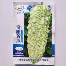 奇丽苦瓜种子杂交一代早熟品种无限生长品种种子