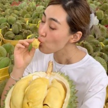 金枕榴莲一手批发价格，A果保5房，坏果包赔
