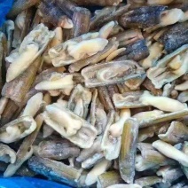 大规格开背蛏子蛏王肉长期供应