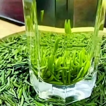 湄潭翠芽，产地批发质量保证