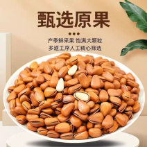 松子，东北松子，华山松子，全网级优价。支持一件代发，批发。