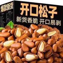 开口松子华山松大量现货批发一件代发