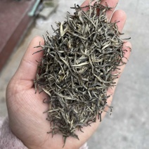 毛尖茶
