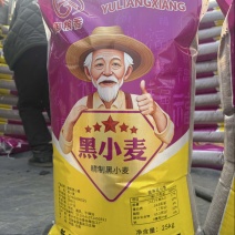 紫麦，黑麦，彩色小麦，绿小麦，蓝麦