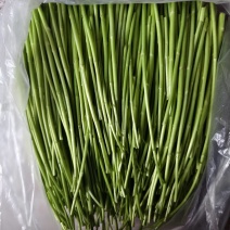 芦蒿自产自销，基地直发，没有中间商差价