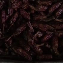 烟薰鸭爪包肉