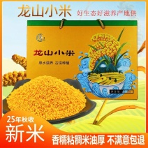 山东章丘龙山小米