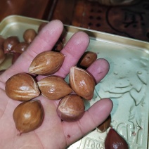 工艺榄核