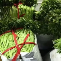 湖北阳新芦蒿！鲜香脆嫩、质量上乘！欢迎品鉴！