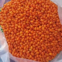 沙棘果
