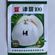 津甜100天津科润薄皮甜瓜单瓜600克肉质酥脆口感好