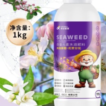花芽分化专用催化授粉打破休眠促进多发芽开花
