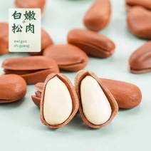 新货东北松子大颗粒大开口松子正常电商一件代发批量拿货