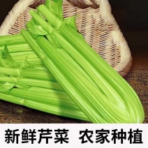 包邮）西芹新鲜蔬菜自种榨汁农家香芹半叶优质脆嫩青菜芹菜