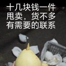 水晶梨二级果，十几块钱甩卖，可过手加工，有需要联系