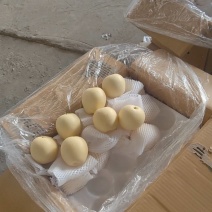 皇冠梨，梨，大量有货