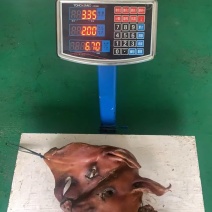 黑猪腊肉