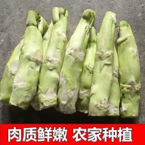 青菜头，大量上市，全国发货，产地直发，欢迎进店沟通。