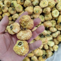 刺梨果冻干刺梨果刺梨果干大货批发