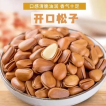 新货东北松大颗粒松子支持电商一件代发批量拿货。