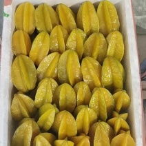 杨桃高次果，工厂榨汁果，大量有货，香蜜杨桃大量供应