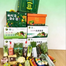 精装套菜蔬菜礼包量大从优