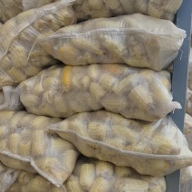 熟糯玉米