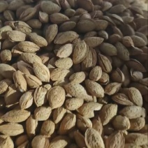 坚果干果巴旦木np大量有货坚果源头工厂直销