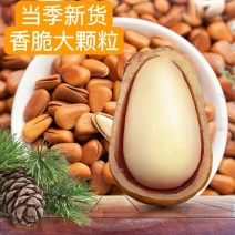 东北松子电商一件代发批量拿货工厂直销