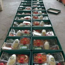 精品套菜26年新春蔬菜礼盒多规格对接全国客商