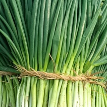 王家坝大葱分葱