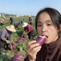 山东潍坊冰凌淋水果萝卜