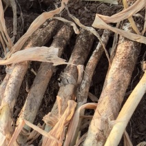 两万斤大葱