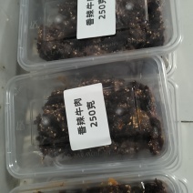 香辣牛肉