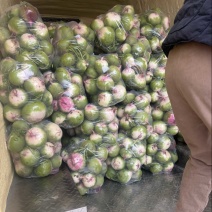 需要的可以联系我
