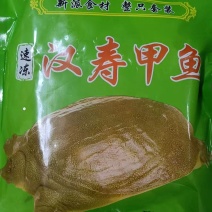 汉寿甲鱼