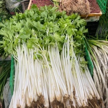芹菜