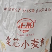 优质中筋面，大量有货，产地一手货源，对接全国市场电商平台