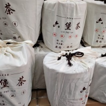 六堡茶